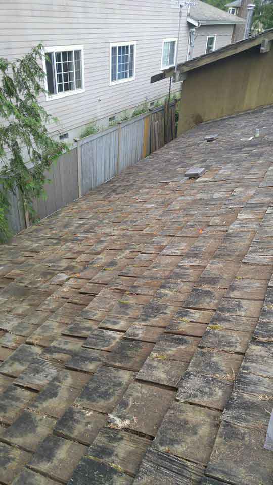 Roof Debris Removal Services