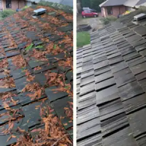 roof cleaning