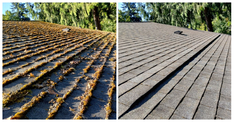 Moss Removal Service in Edgewood, WA (1)