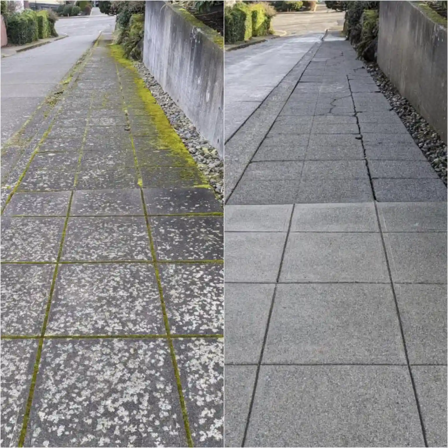 Comprehensive Cleaning Services Puyallup, WA